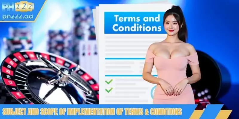 Subject and scope of implementation of terms conditions
